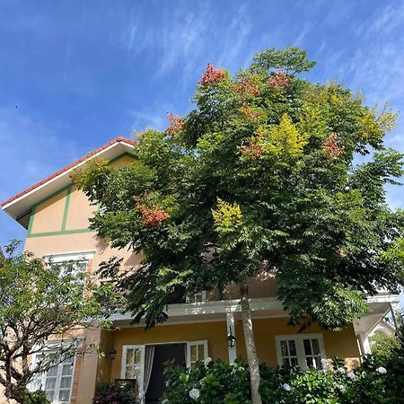 Hotel Bich Dao Boutique - Dalat Exterior foto