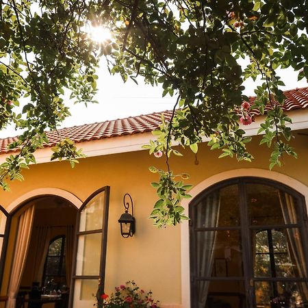 Hotel Bich Dao Boutique - Dalat Exterior foto