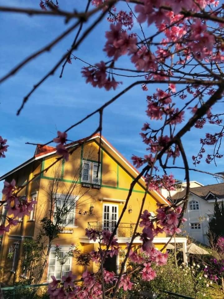 Hotel Bich Dao Boutique - Dalat Exterior foto