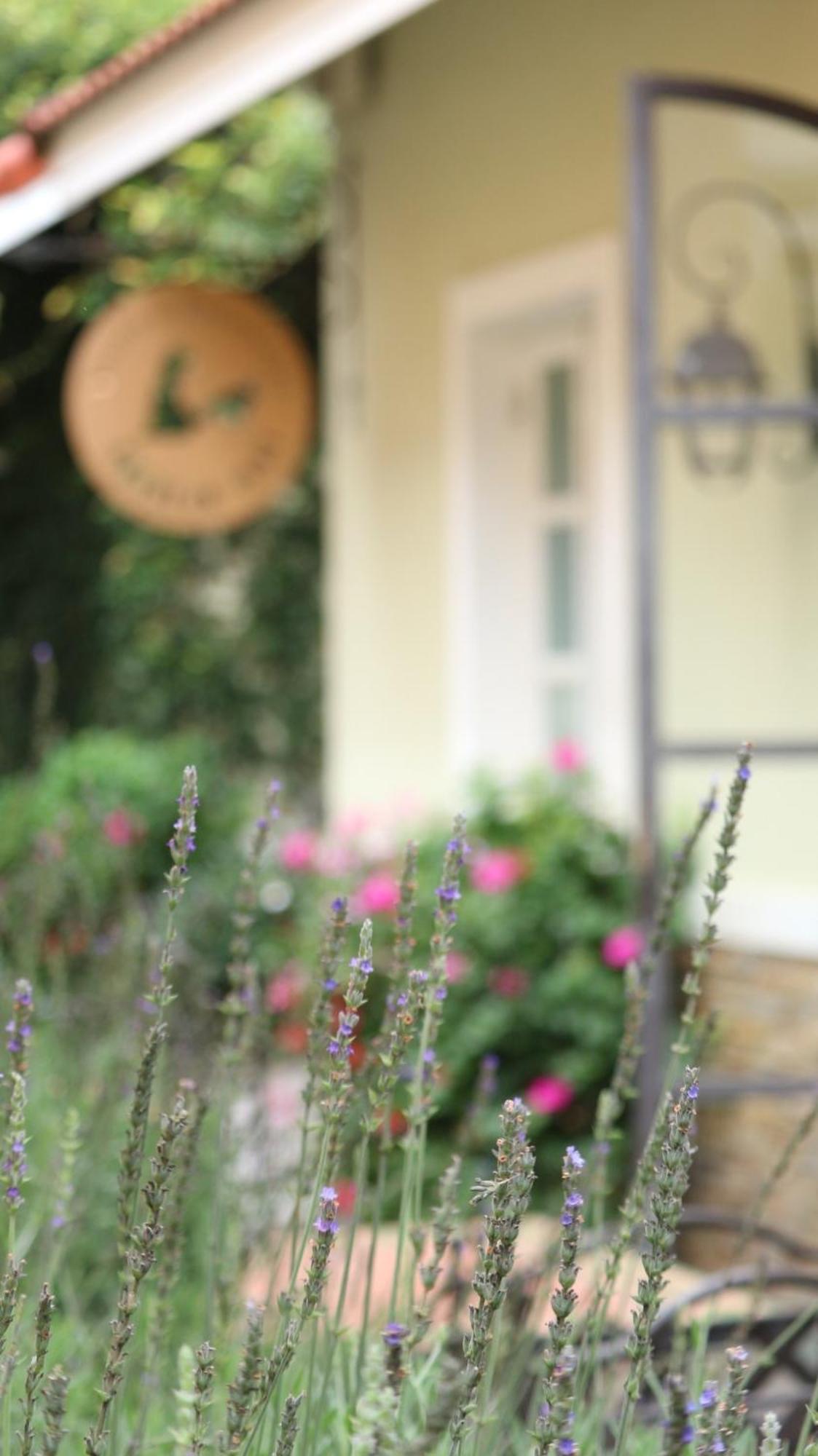 Hotel Bich Dao Boutique - Dalat Exterior foto