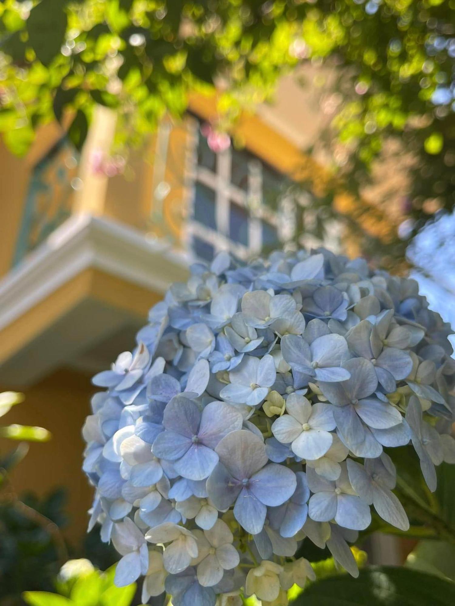 Hotel Bich Dao Boutique - Dalat Exterior foto